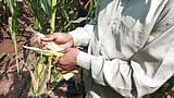 Indisches transen-dorf wald, maisfeldficken - desi filmt in hindi snapshot 3