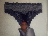 cumming on housemates panties while she at work snapshot 10