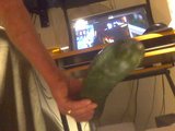 riding a huge cucumber snapshot 1