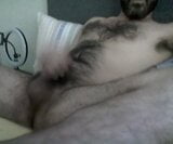 Sexy Wolf enjoy jerk snapshot 7