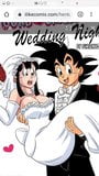 Dbzの悟空が初めての新婚旅行でちちをハメる。 snapshot 1