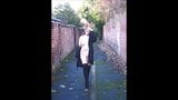 Altviool naakte wandeling in Chester, VK snapshot 3