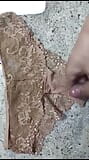 Not my step aunts lace dirty panties snapshot 2