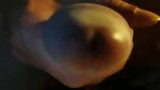 Mein Schwanz tropft warmes Sperma snapshot 5