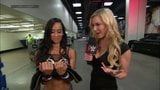 Know how AJ Lee looked like before her permanent transformat snapshot 2