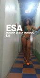 elvira palomino 1edf snapshot 5