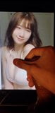 Kashiwagi yuki (akb48) cum upeti snapshot 7