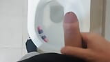 Masturbation en solo dans les toilettes snapshot 3