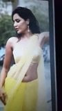 Priya Anand hot thoppul navel spitting snapshot 2