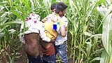 Indian Pooja Shemale Boyfrends Took A New Friends To Pooja  Corn Field Today And Three Frends Had A Lot Of Fun In Sex snapshot 16