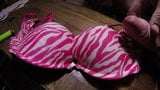 2 loads on the VS bra snapshot 10