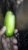 cucumber insert the pussy snapshot 2