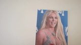 Britney Spears Cum Tribute 71 snapshot 1