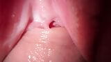 Lik stiefzus poesje, close -up neuken en cumshot wrijven snapshot 14