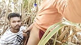 Master ji Brought His School Boy First In The Exam, Then Master Ji Took The College Boy To The Sugarcane Field Forest Fuking... snapshot 7