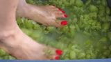 Feet with Long Red Toenails Stomping Green Grapes (II part) snapshot 7