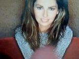 Tribute for Shania Twain snapshot 1