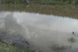 Pink gown in a lake... snapshot 1