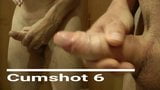 Cumshot 6 snapshot 1