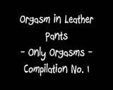 Orgasms in Leather Pantd snapshot 1