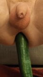 Mi godo questo grande giocattolo vegetale nel mio ano stretto e piccolo. snapshot 3