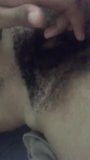 Hairy Ebony Bush snapshot 2