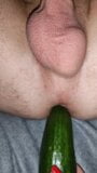 He likes big cucumber in ass, fetish, vegetable anal fuck snapshot 1