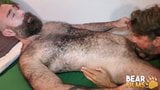 Bearfilms niedźwiedź ale tedesco oklep hairy cub rob hairy snapshot 4