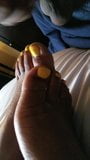 Yellow Ebony Toes snapshot 2