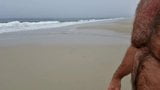 Fire Island slow motion beach walk snapshot 1