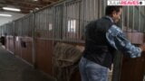 Paardengeleider heeft seks met instructeur! snapshot 1