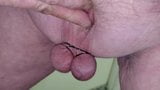 Mikro kutas palcówka spermy z wiązanych piłek w zwolnionym tempie ... snapshot 6