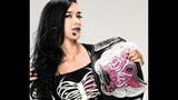 AJ Lee from WWE gets her third breast implant! snapshot 1