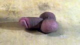 ballbusting 2 with a rubber dick snapshot 10