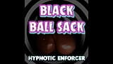 Black Ball Sack Magnetic snapshot 2