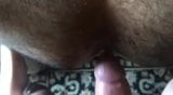 Follando e Inseminando un Culo Peludo Caliente snapshot 3