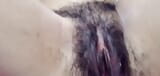 Heißes mädchen in selbstgedrehtem video mit sexy möpsen und enger muschi 25 snapshot 7