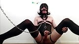 Sissy in Harness and Posture Collar Edges snapshot 15