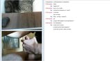 chatroulette #26 snapshot 9