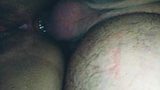 Hairy Pussy Amateur Anal snapshot 3