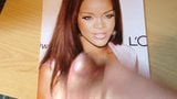 Tribute to Rihanna snapshot 6