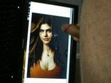 Tribute to Alexandra Daddario snapshot 6