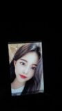 Korean friend cumtribute snapshot 8