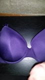 Bailey's big 38C bra sprayed with cum snapshot 4