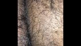 Hairy Woolly Furry bushy brown ass snapshot 8