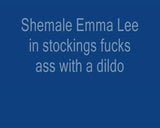 Shemale Emma Lee in stockings fucks her ass with a dildo snapshot 1