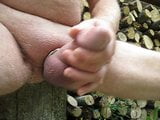 Stroking some wood at the wood pile. snapshot 8