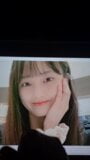 Koreański przyjaciel suka cumtribute snapshot 1