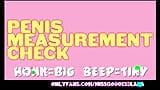 Penis Measurement Check Comment Honk or Beep snapshot 2