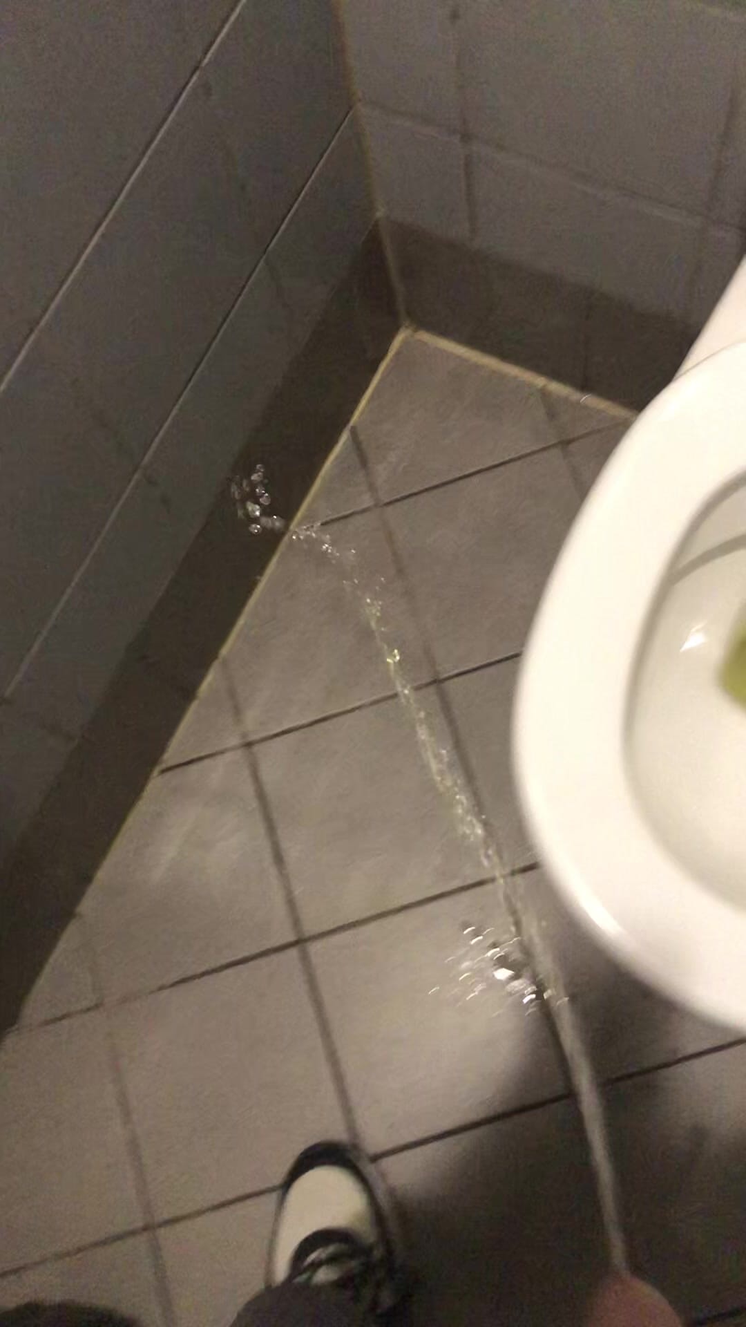 Pissing all over a toilet in a cafe